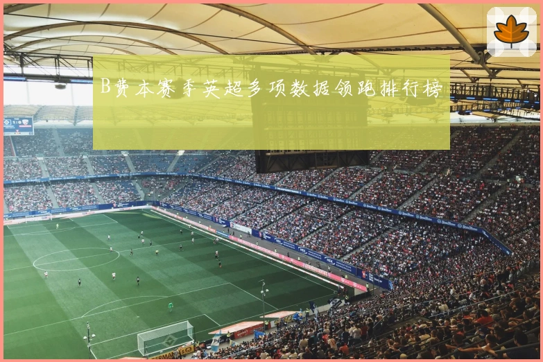 B费本赛季英超多项数据领跑排行榜